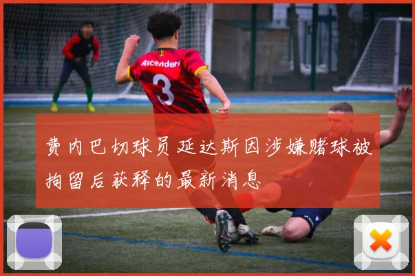 费内巴切球员延达斯因涉嫌赌球被拘留后获释的最新消息